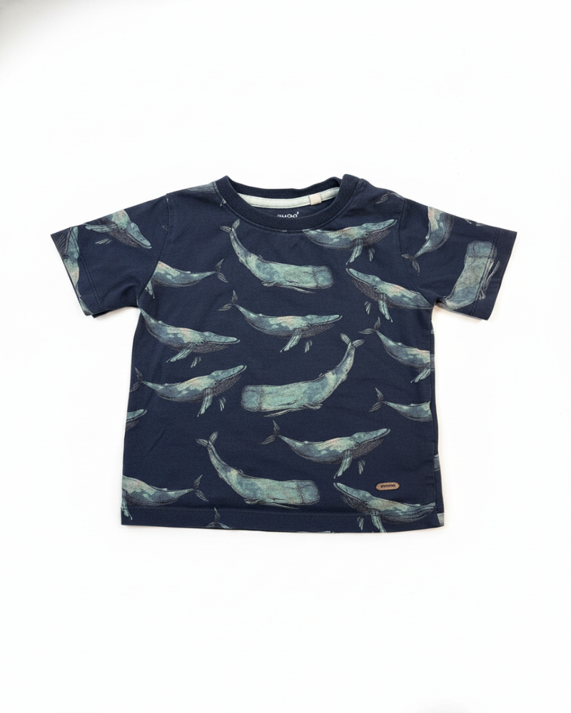 MinymoMinymo Tee-shirts Garçon Turquoise