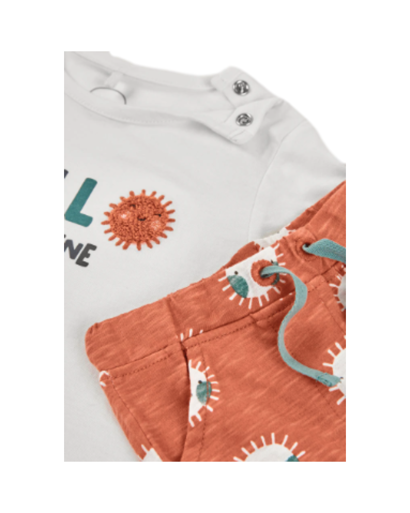 Boboli Ensembles