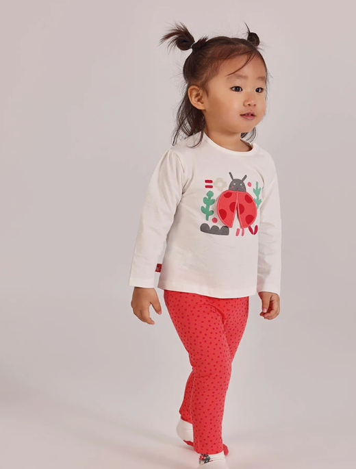 Boboli Ensembles