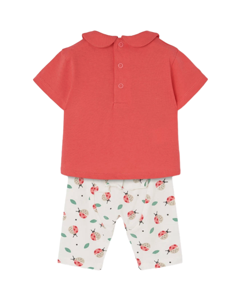 Boboli Ensembles