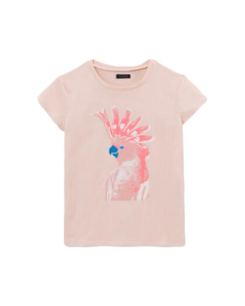 18779-ikks-tee-shirt