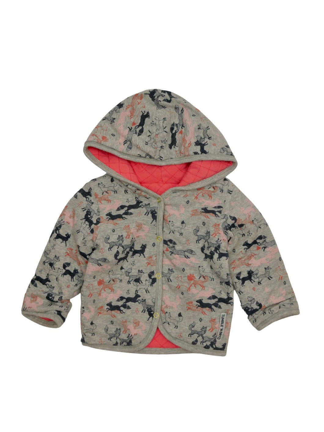 5593-veste-capuchon-renards