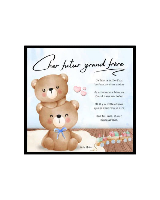 11994-belle-elaine-livre