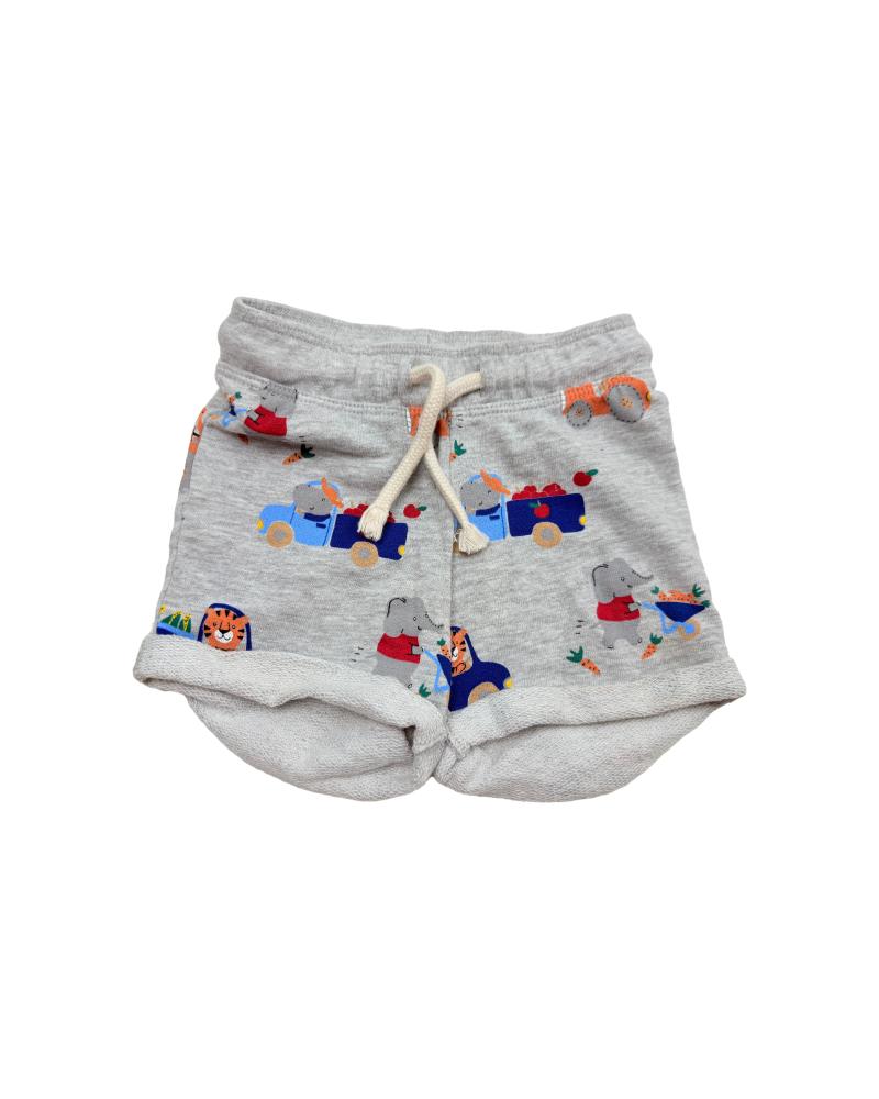 17329-handm-short