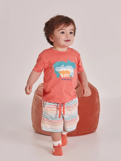 Boboli Ensembles