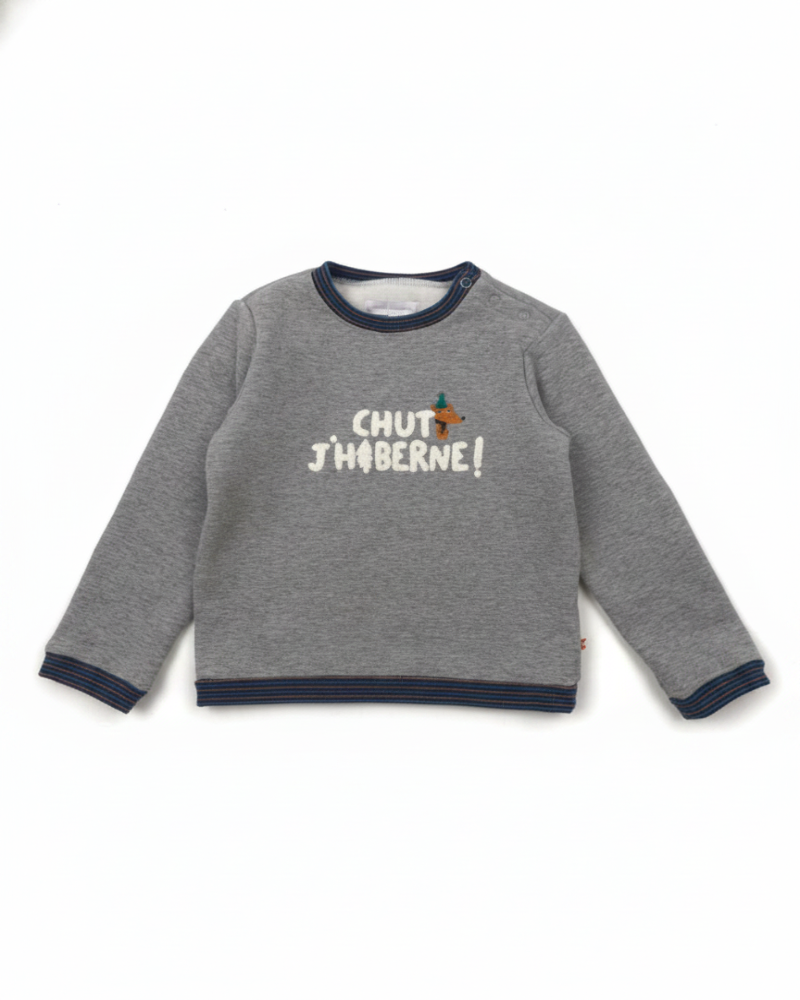 Cadet Rousselle Cadet Rousselle  Chandails Garçon Gris