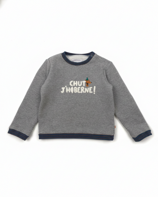 Cadet Rousselle Cadet Rousselle  Chandails Garçon Gris