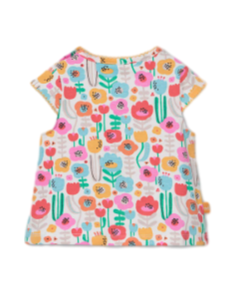 Boboli Ensembles