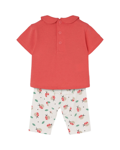 Boboli Ensembles