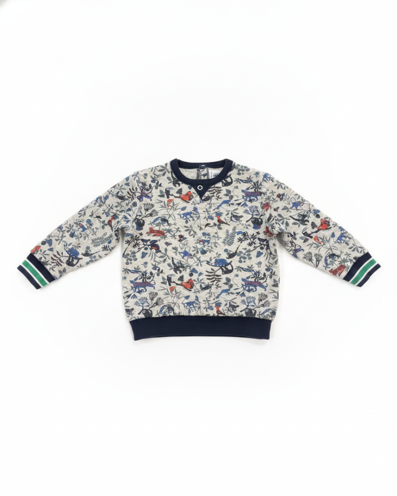 Petit BateauPetit Bateau Chandails Neutre Vert