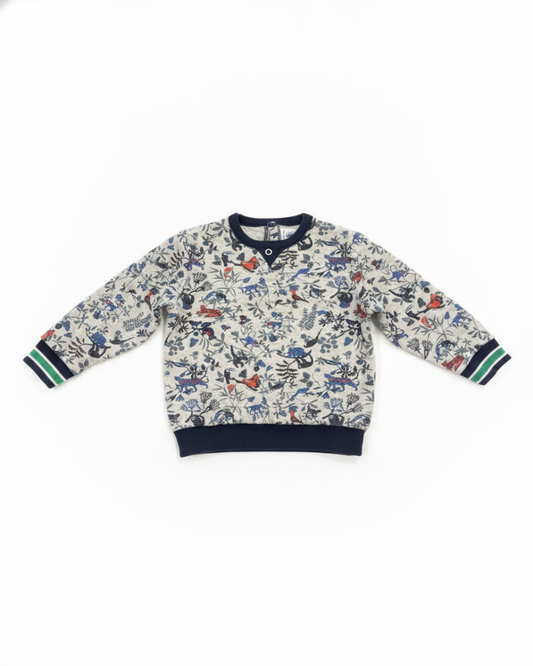 Petit BateauPetit Bateau Chandails Neutre Vert