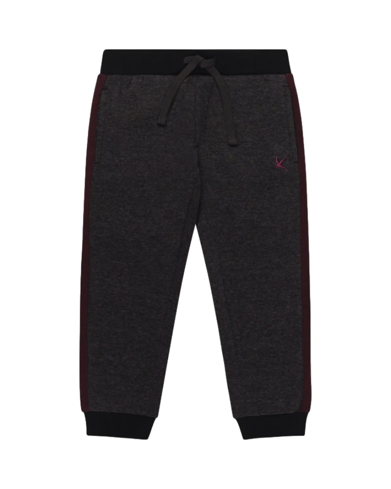 Mini Wardrobes Pantalon Garçon Gris