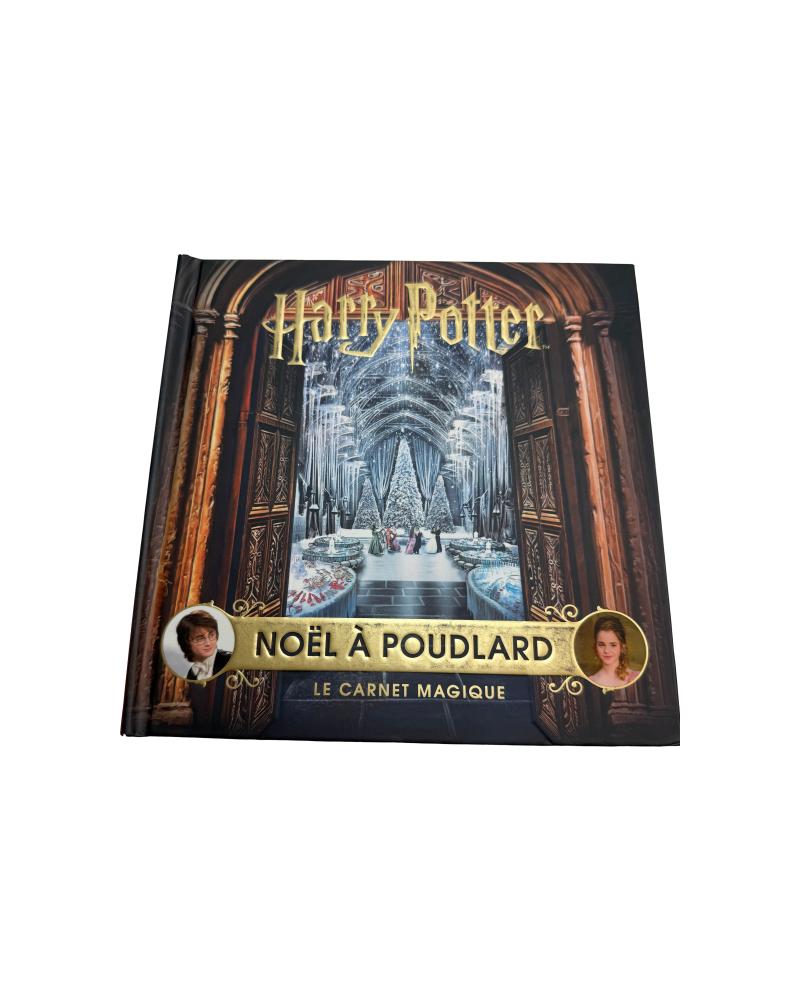 18589-harry-potter-livre