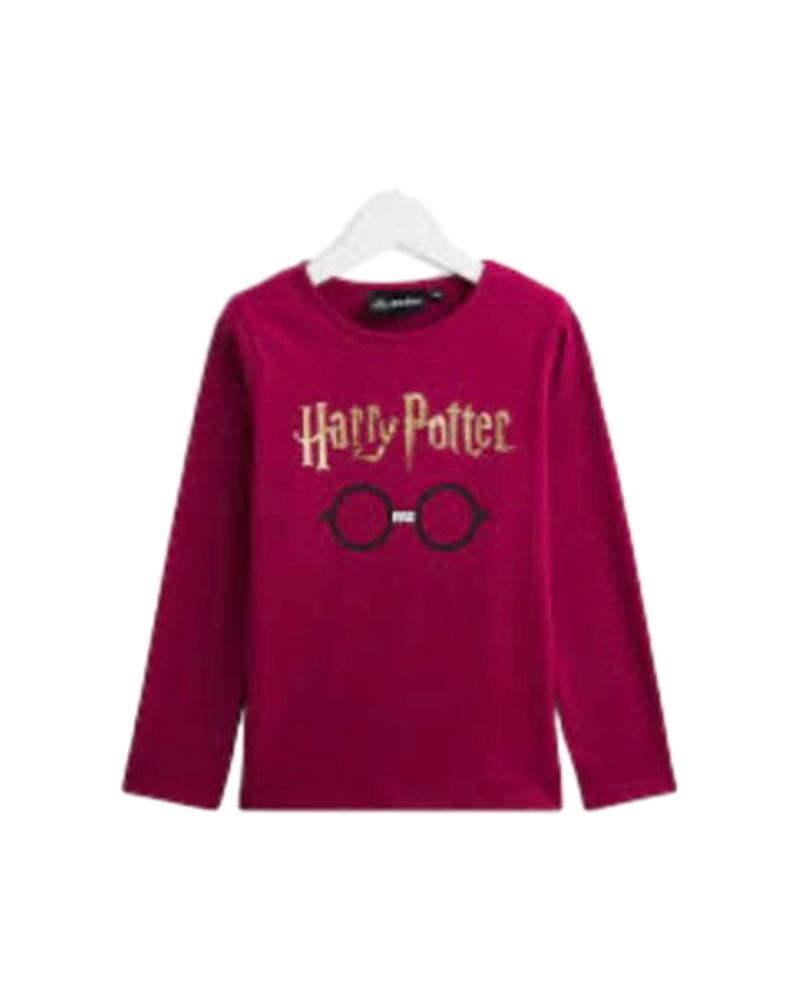 18927-harry-potter-tee-shirt
