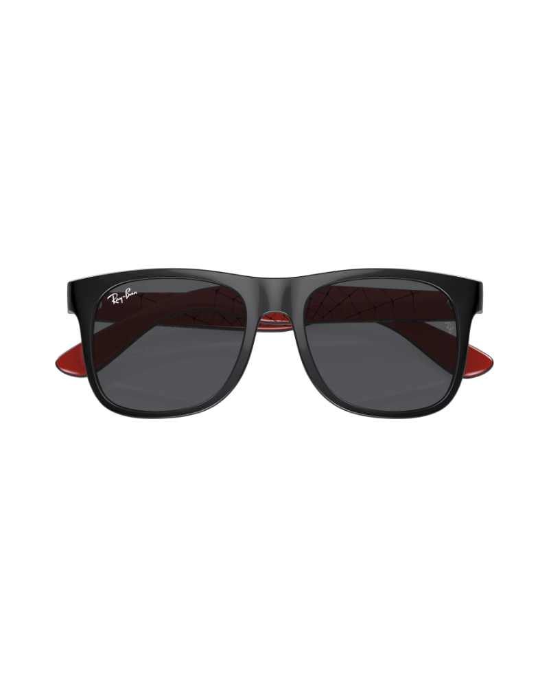 Ray-Ban Sunglasses