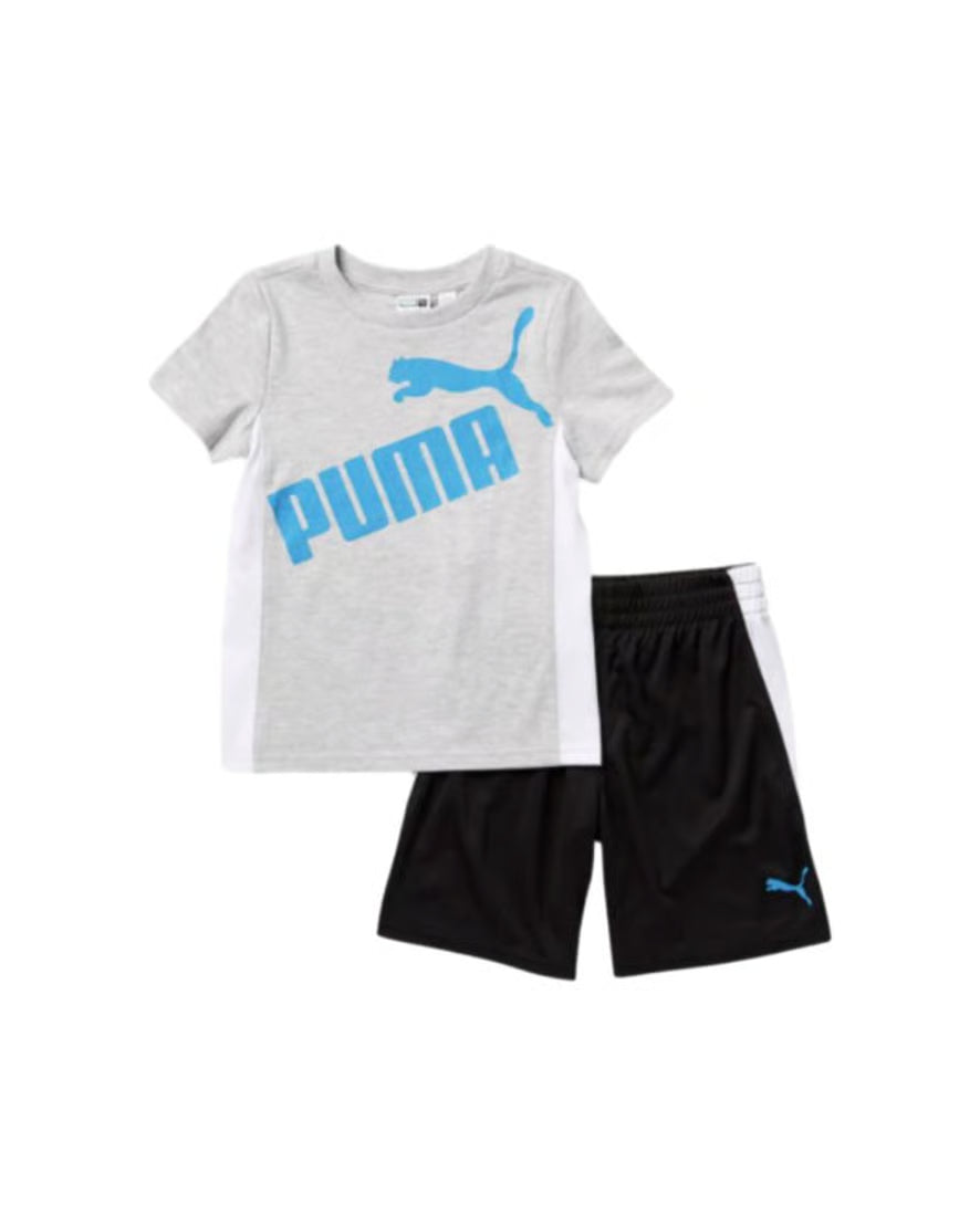 15534-puma-ensemble