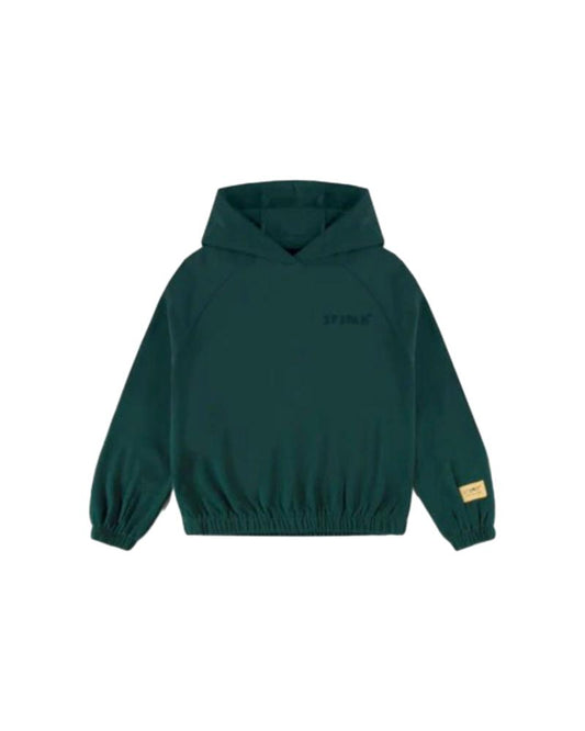 Souris MiniSouris Mini Chandail Garçon Vert