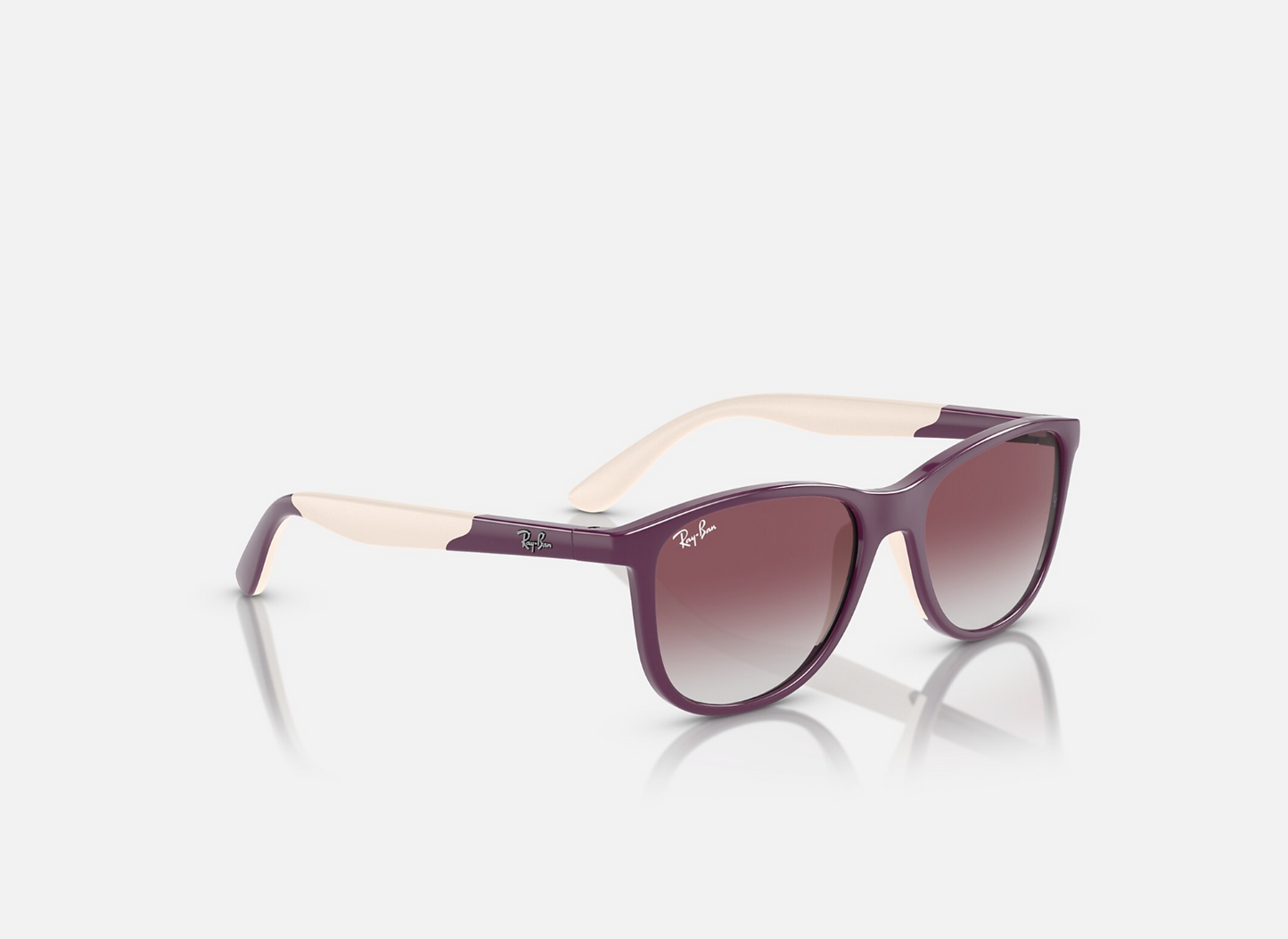 Ray-Ban Sunglasses