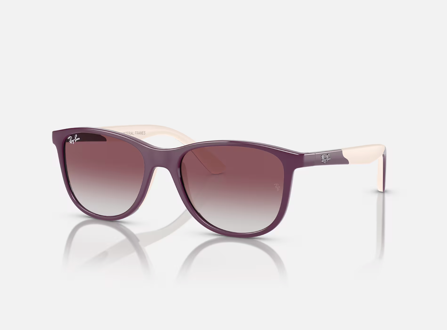 Ray-Ban Sunglasses