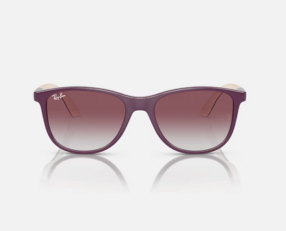 Ray-Ban Sunglasses
